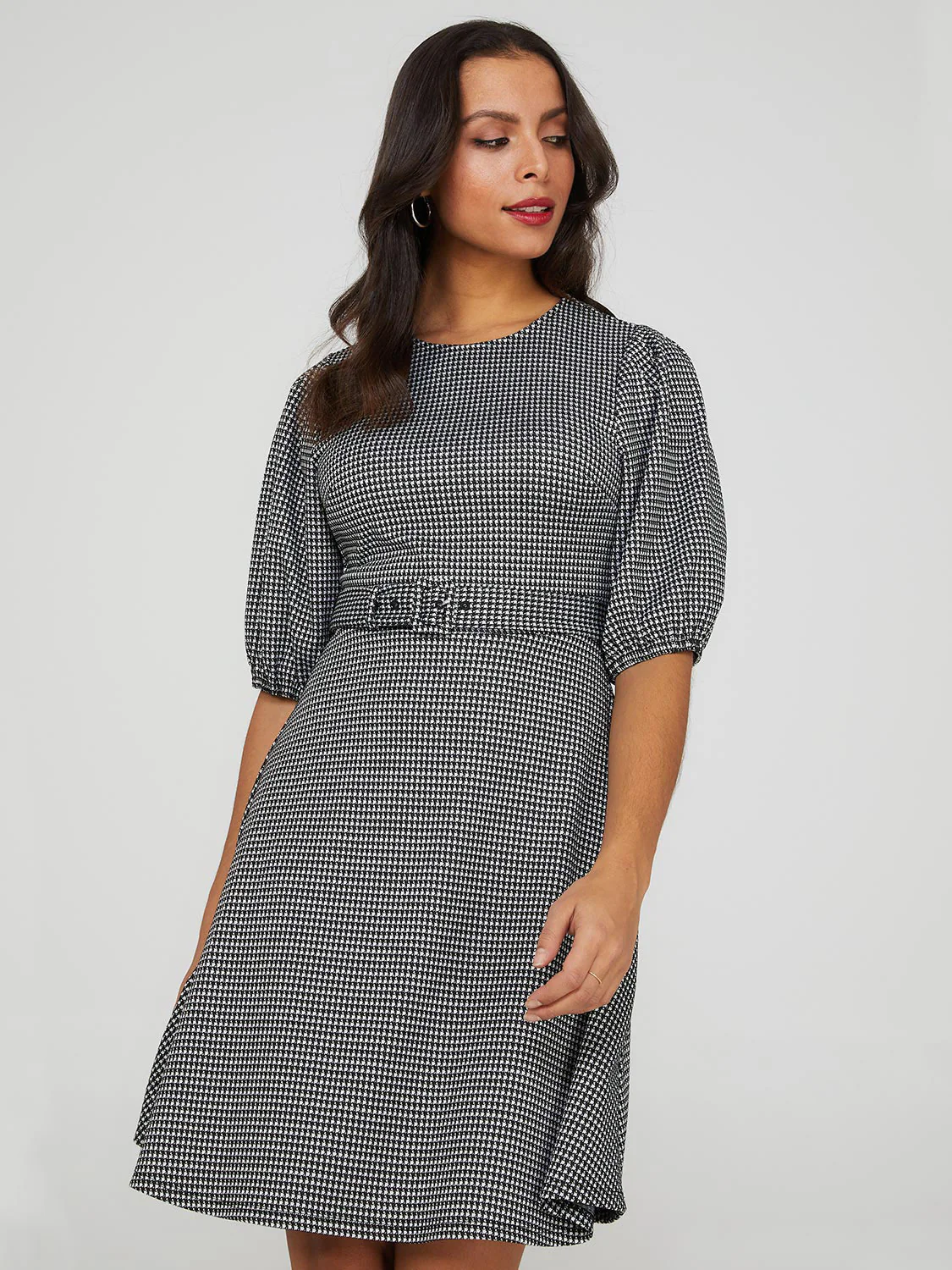 Printed Metallic Fit & Flare Belted Dress