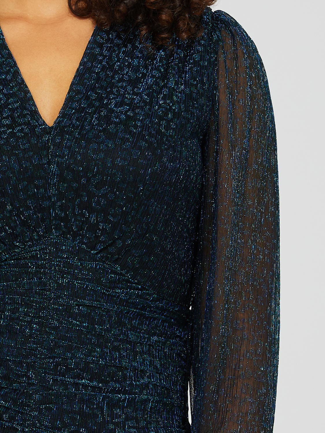 Long Balloon Sleeve Animal Print Top