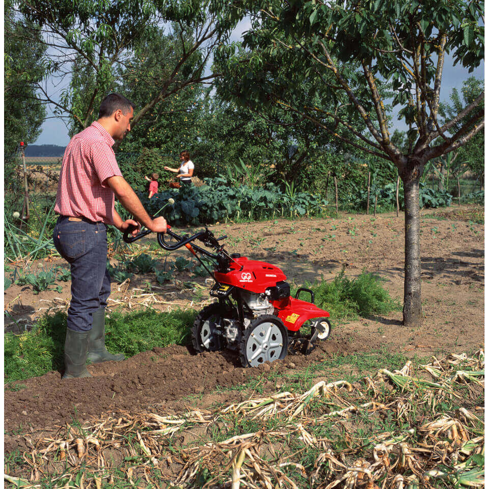 Honda FF300 Petrol Rotary Tiller collection | LIDL