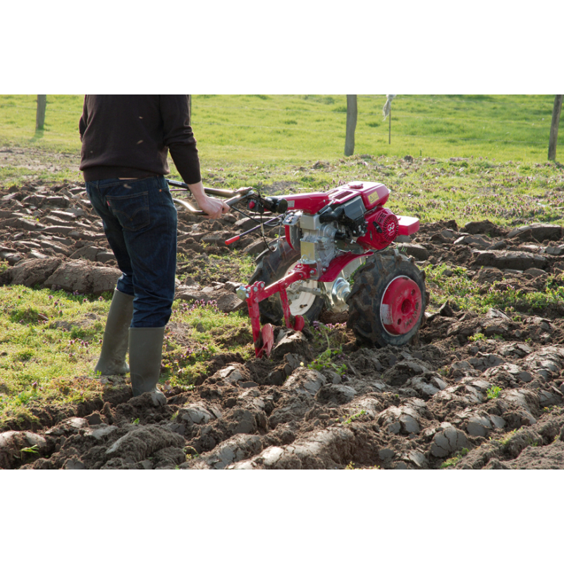 Honda F560 Large Garden Petrol Rotovator Tiller collection | LIDL