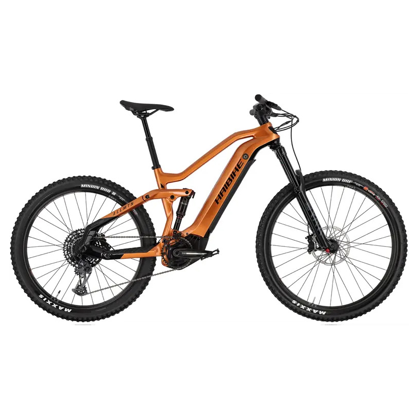 Haibike AllMtn CF 6 collection | LIDL