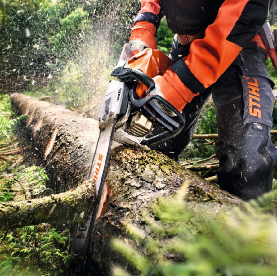 Stihl GASOLINE CHAINSAW MS 362 collection | LIDL