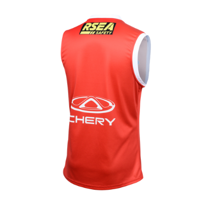 AFL St Kilda Saints 2024 Stickman Guernsey