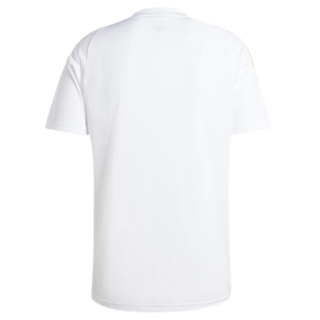 Argentina Messi Pitch 2 Street Training Jersey