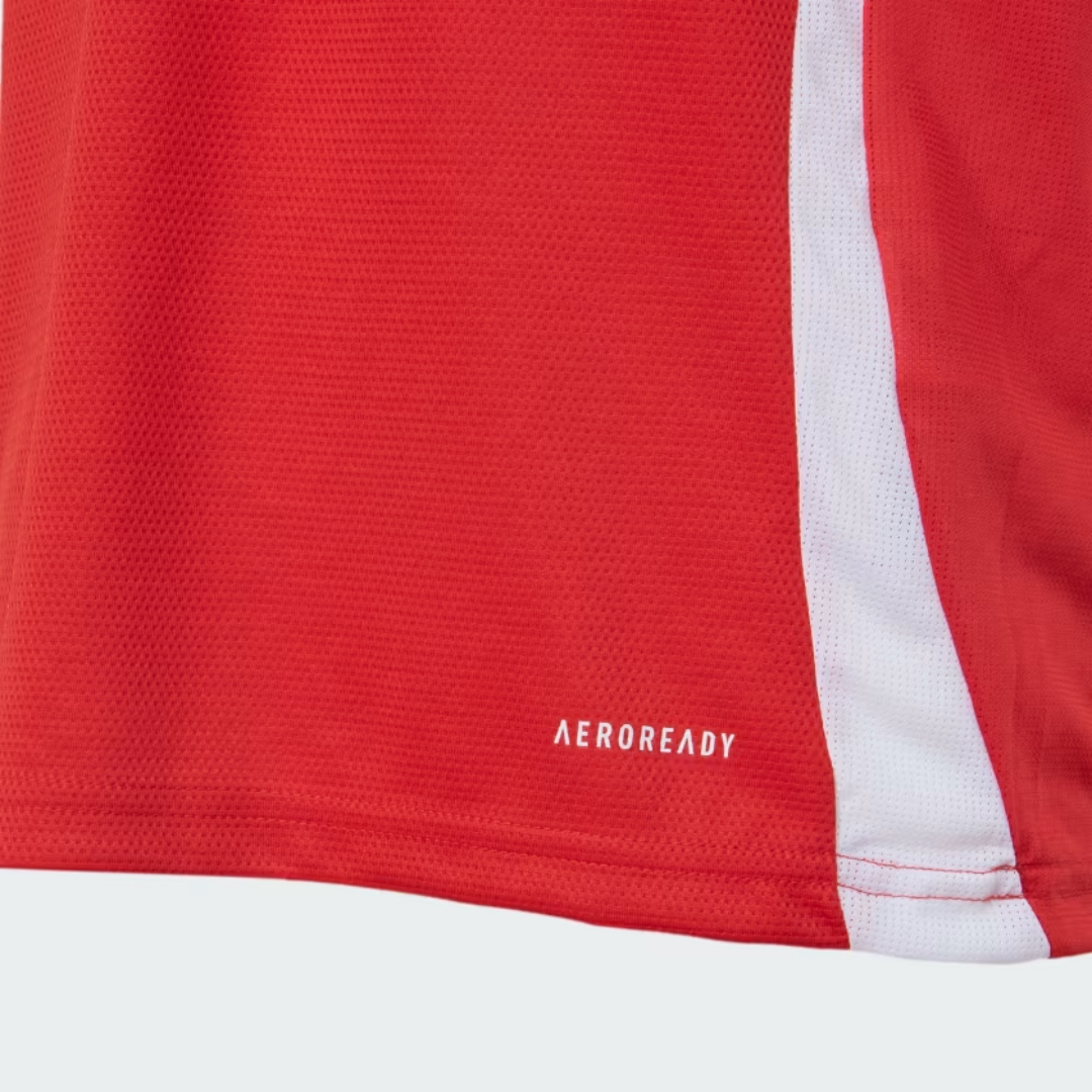 SC Internacional Home Jersey 2025