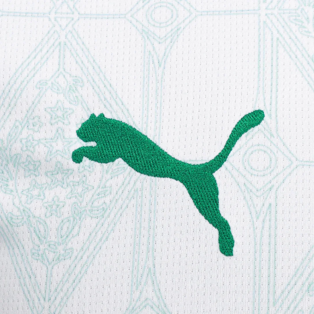 SE Palmeiras Away Jersey 2025