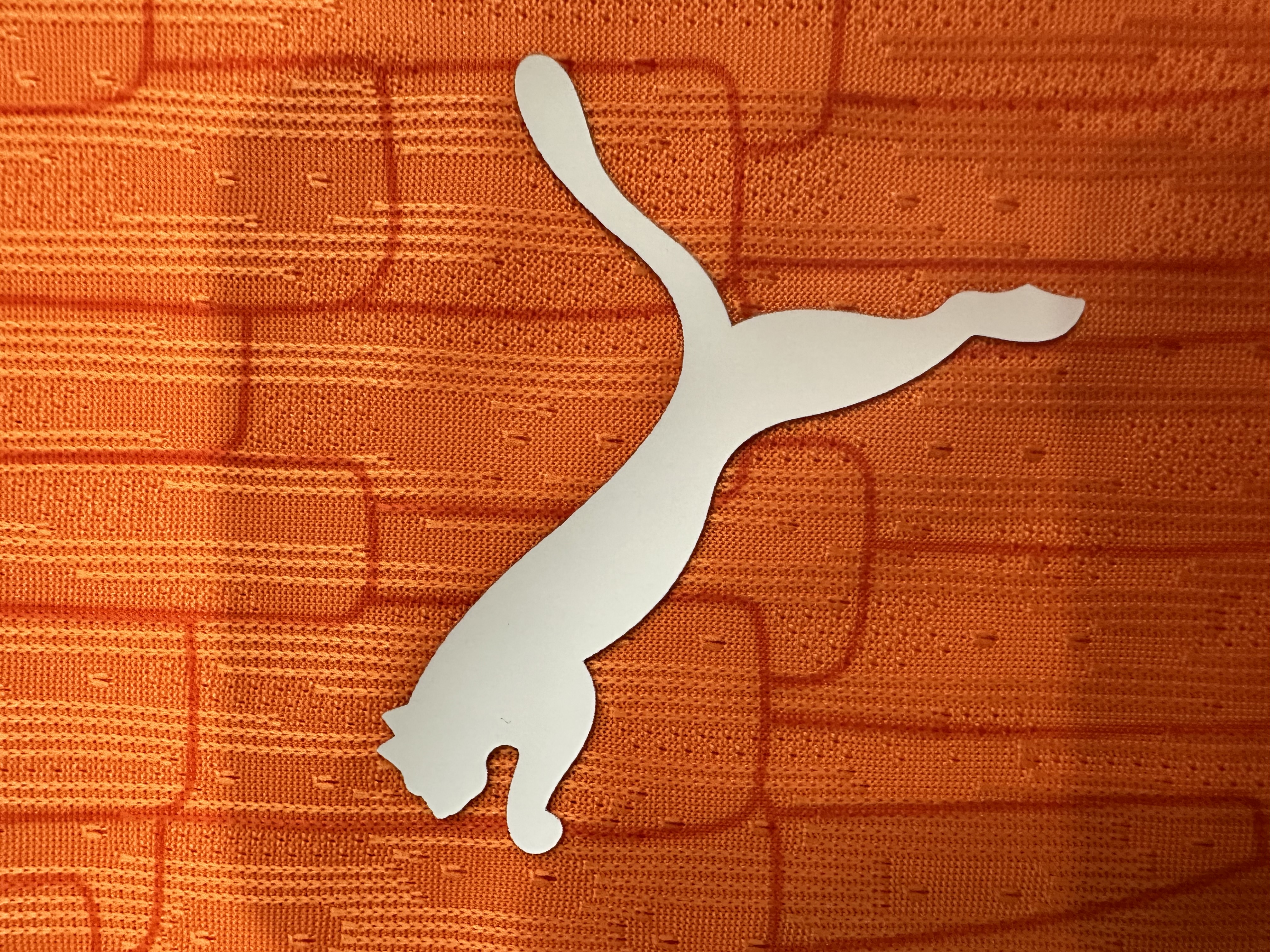 Côte d'Ivoire Authentic Soccer Jersey Home Shirt 2025