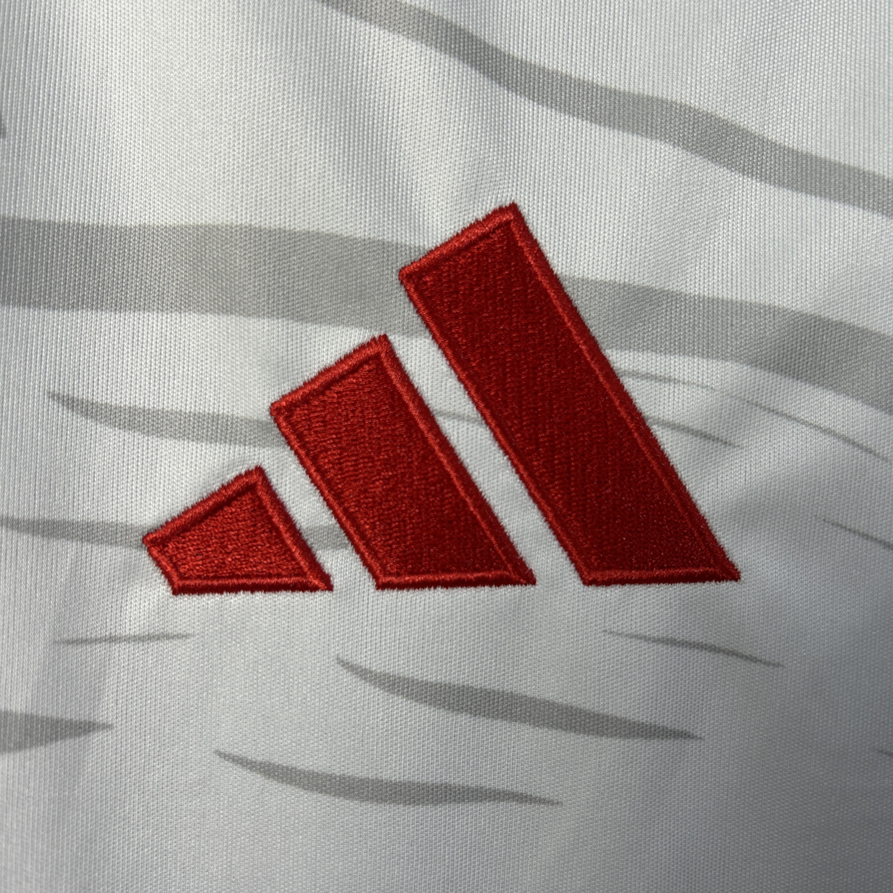 Benfica Soccer Jersey Special Edition Custom Shirt 2025/26