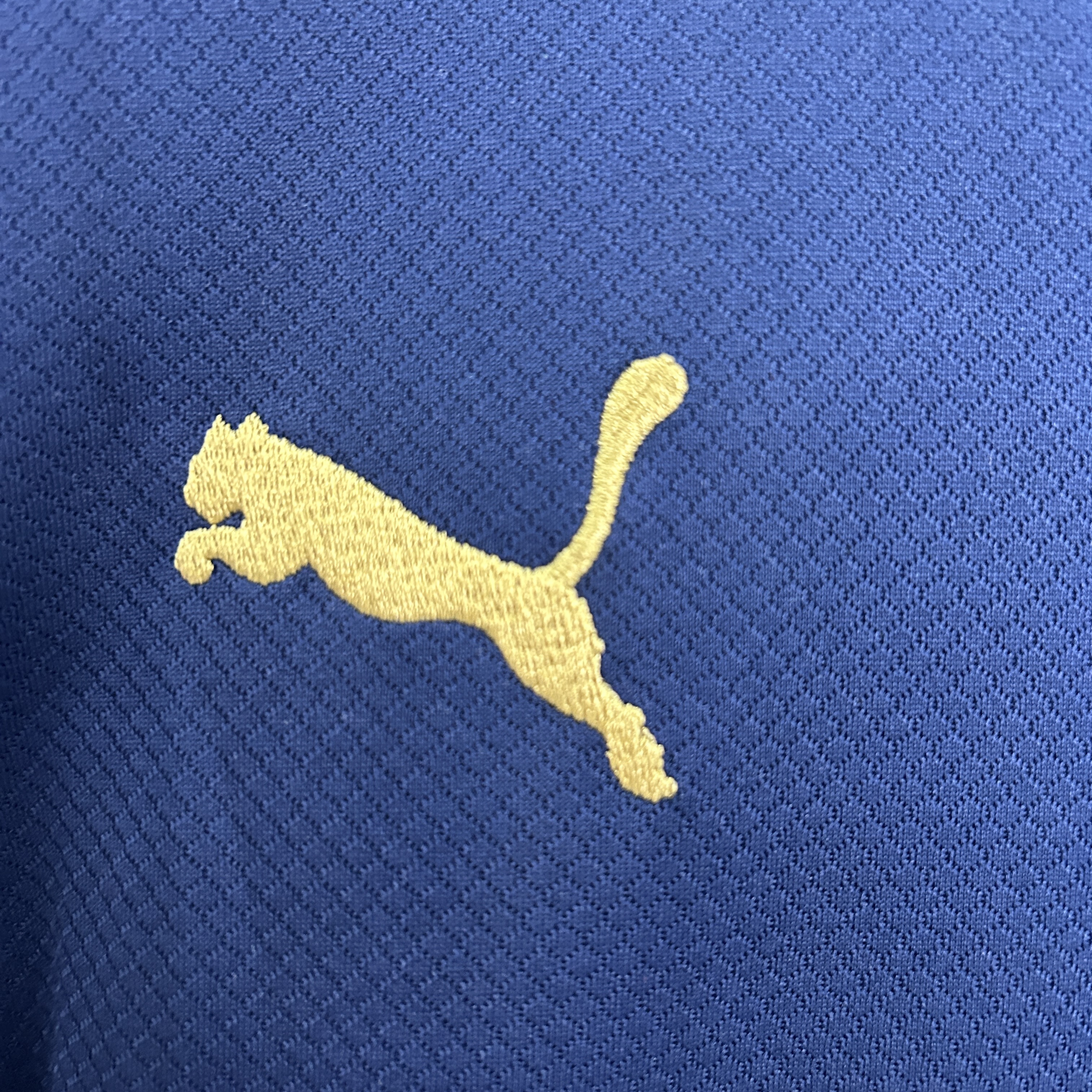 Portugal Training Football Uniform Kids Kit Jersey+Shorts 2025