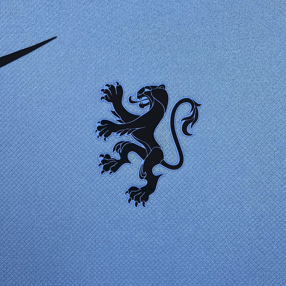 Netherlands Soccer Jersey Away Custom Shirt 2025