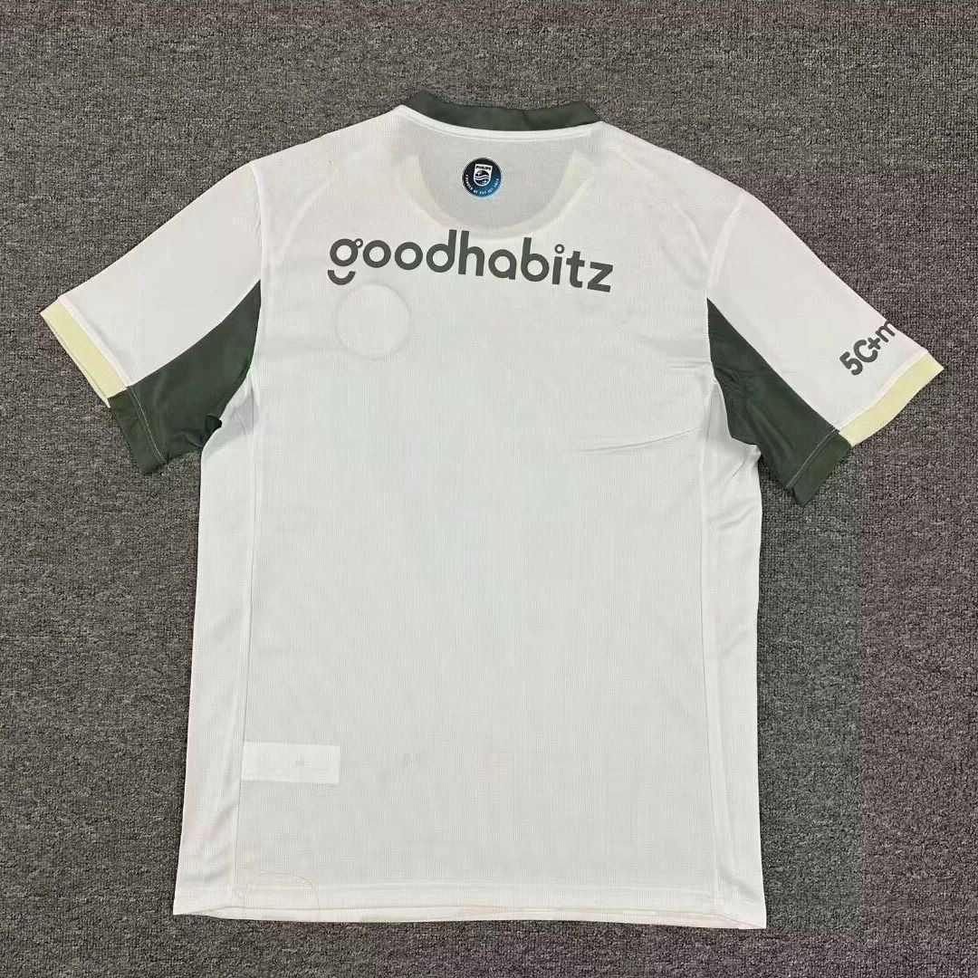 PSV Eindhoven Football Jersey Third Away Custom Shirt 2025/26