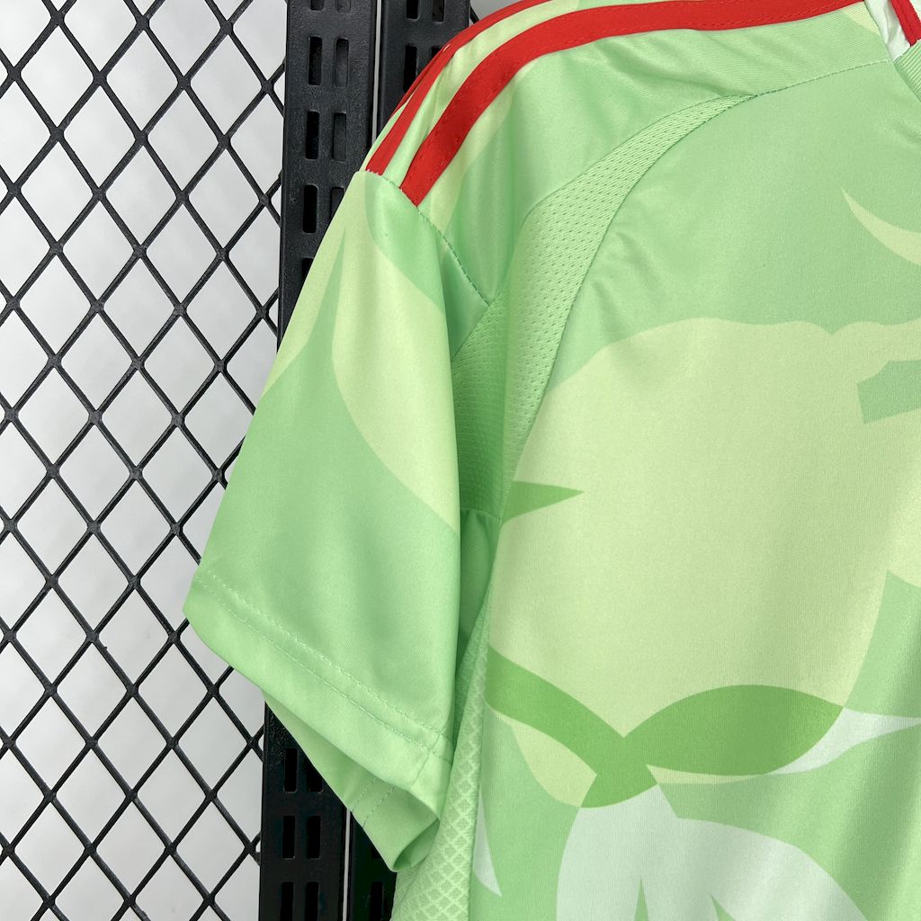 Italy Soccer Jersey Away Custom Shirt 2025