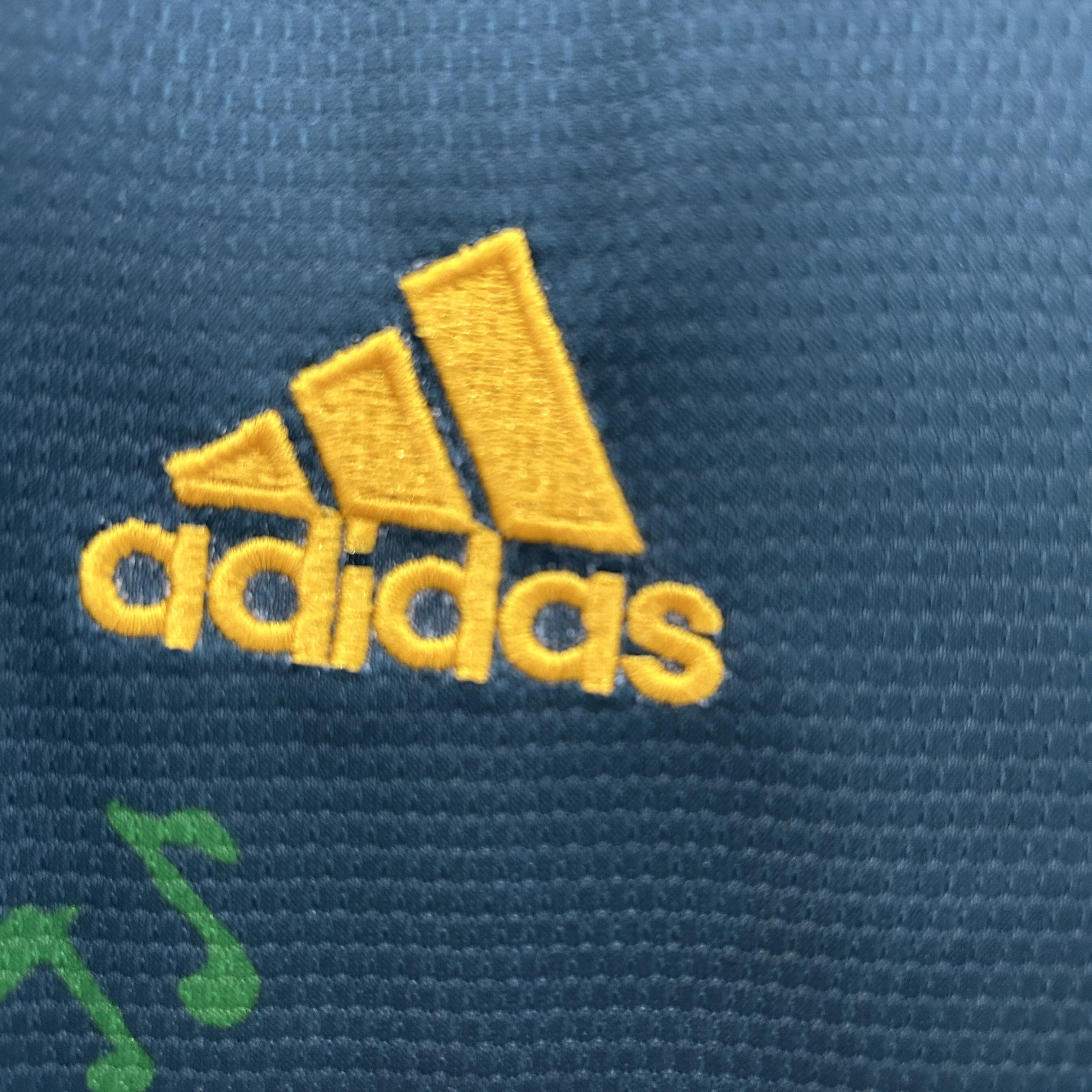 Ajax Football Jersey Special Edition Custom Shirt 2025/26