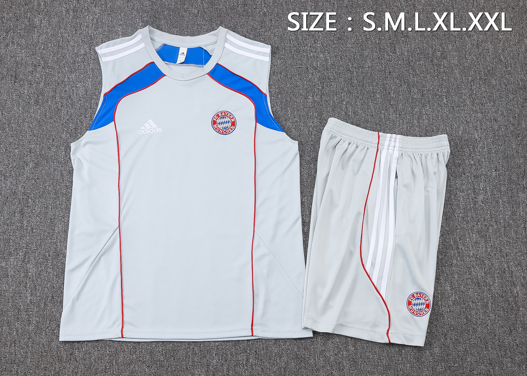Bayern Munich Sleeveless Training Kit Gray 2025/26