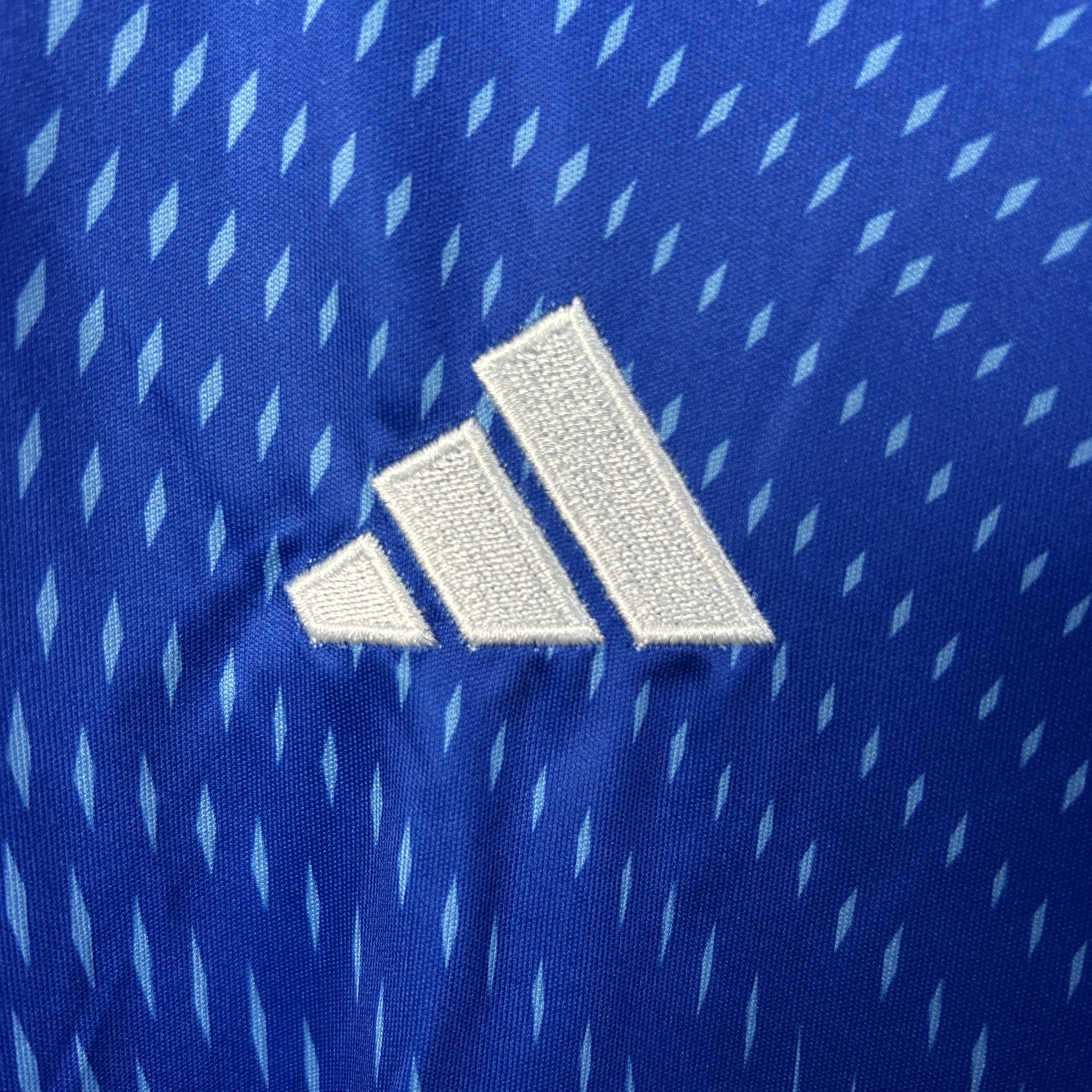 Benfica Soccer Jersey Goalkeeper Custom Shirt 2025/26