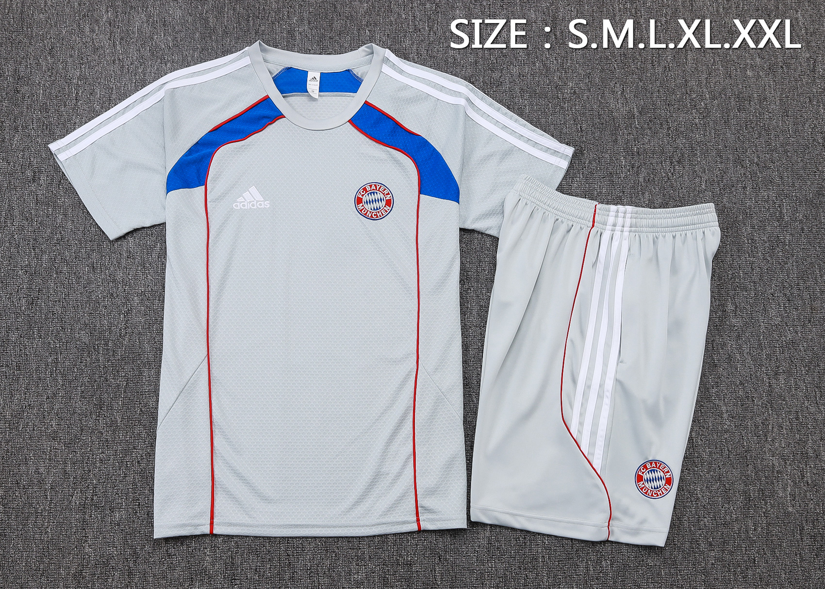 Bayern Munich Training Jersey Kit Gray 2025/26