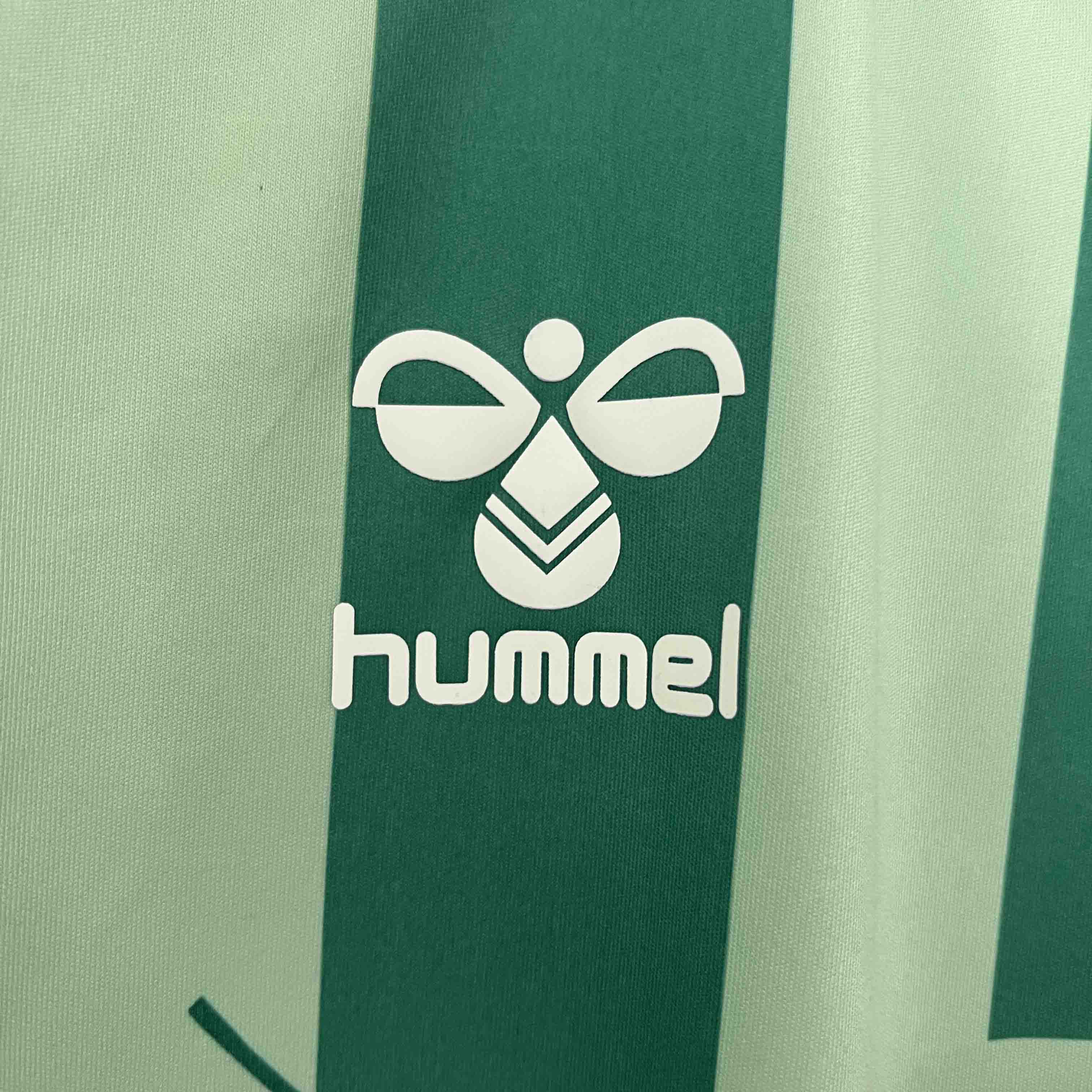 Real Betis Special Edition Soccer Jersey 2024/25