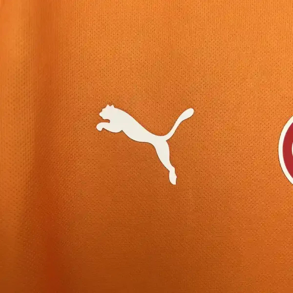 Galatasaray Home Football Jersey Custom Shirt 2025/26