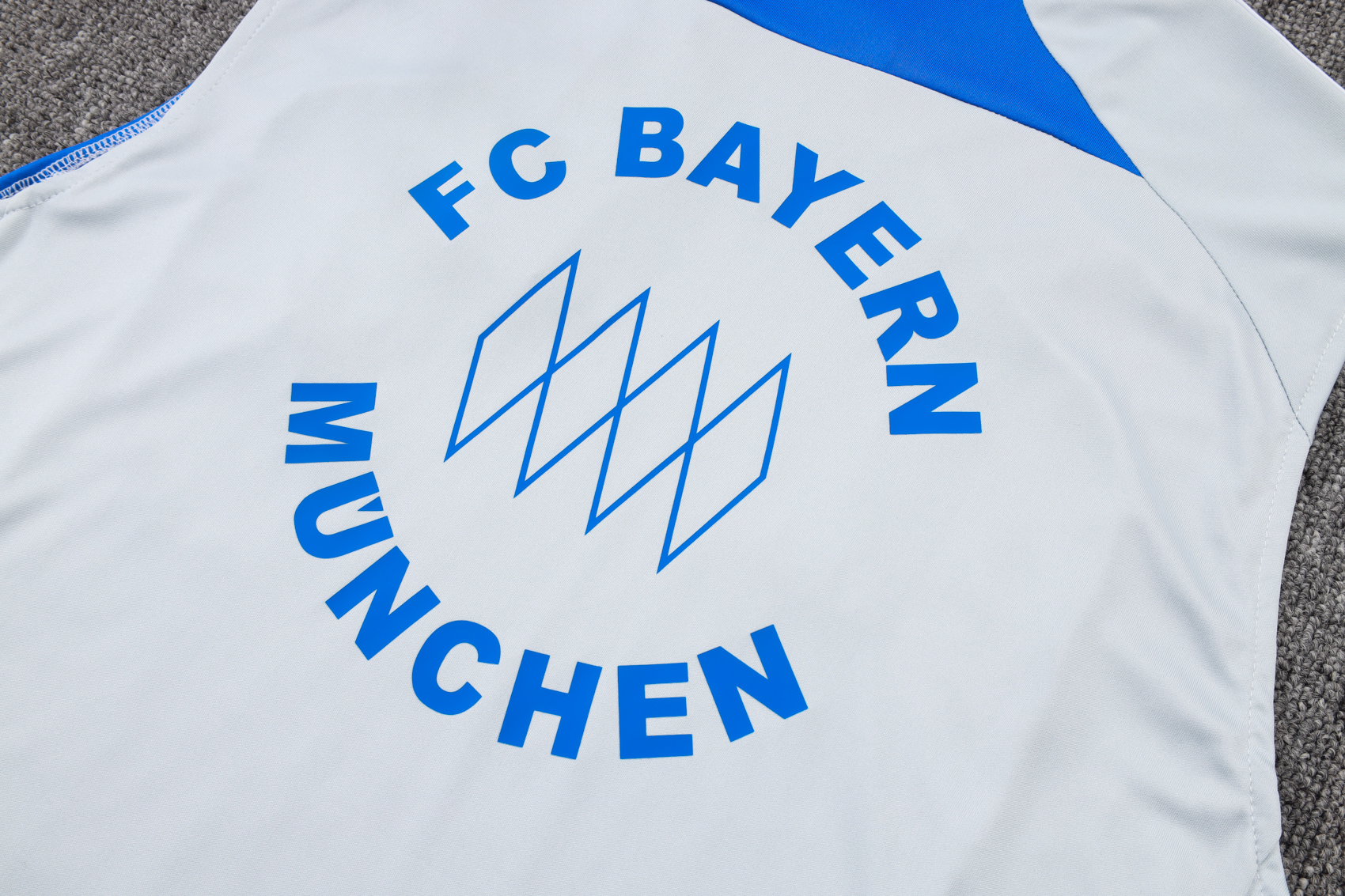 Bayern Munich Sleeveless Training Kit Gray 2025/26