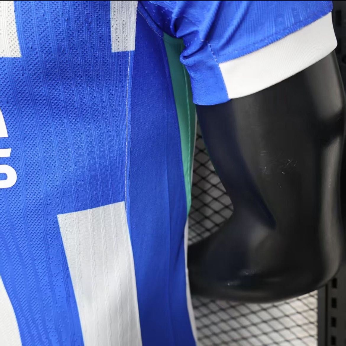 Brighton & Hove Albion Authentic Football Jersey Home Shirt 2025/26