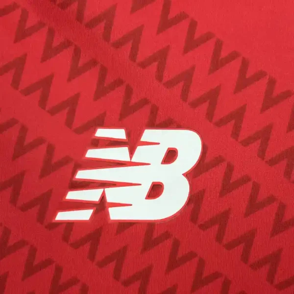 Lille OSC Soccer Jersey Home Kids Kit Jersey+Shorts 2024/25