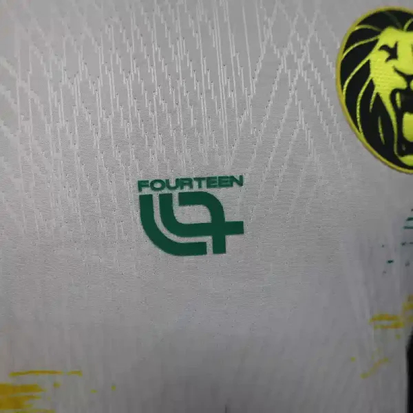 Cameroon Authentic Soccer Jersey Third Away Shirt 2025