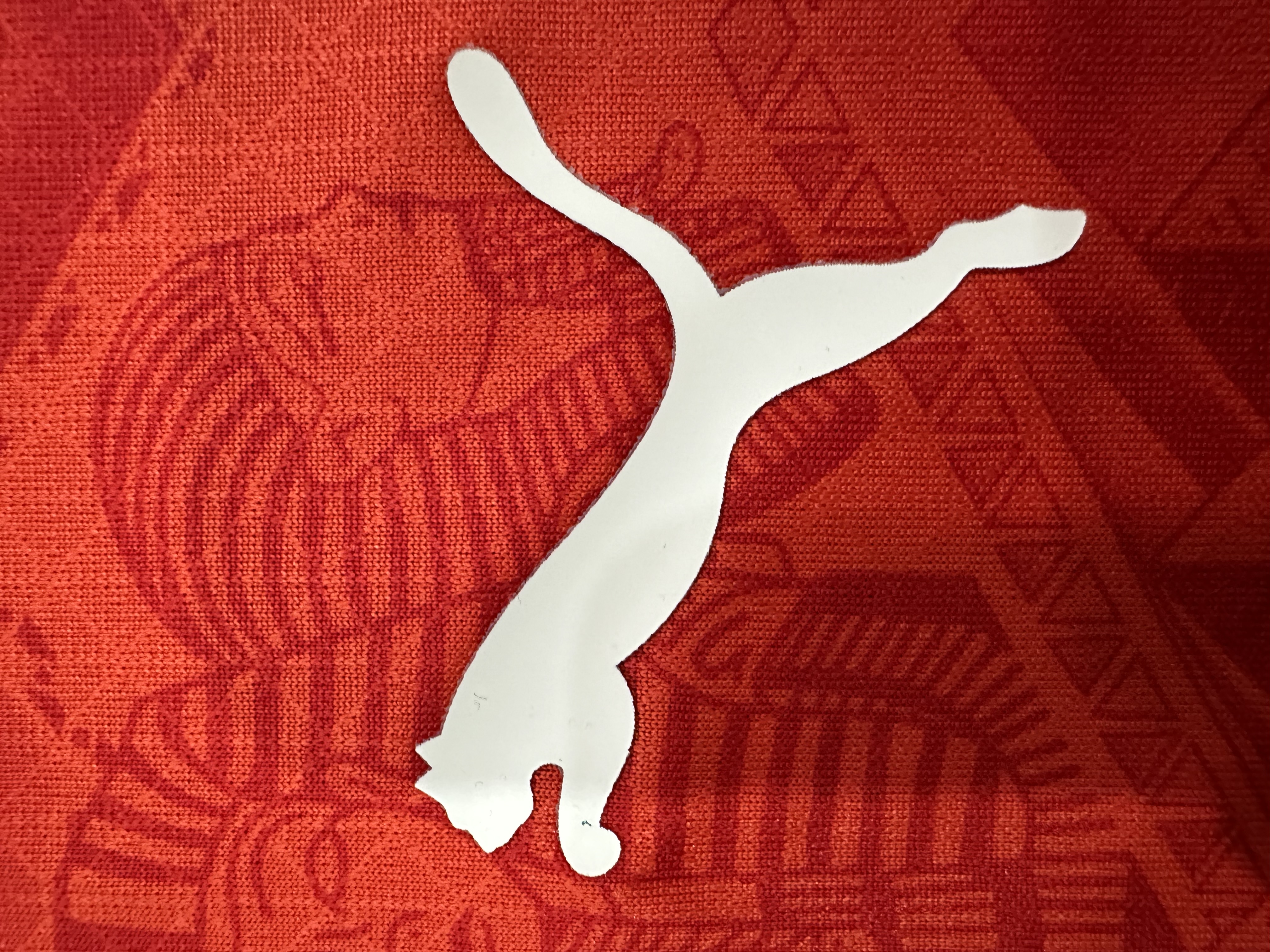 Egypt Authentic Soccer Jersey Home Shirt 2024-25