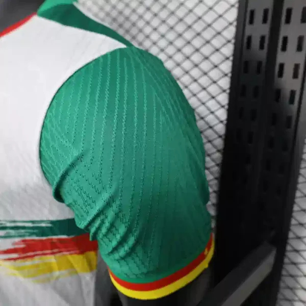 Cameroon Authentic Soccer Jersey Third Away Shirt 2025