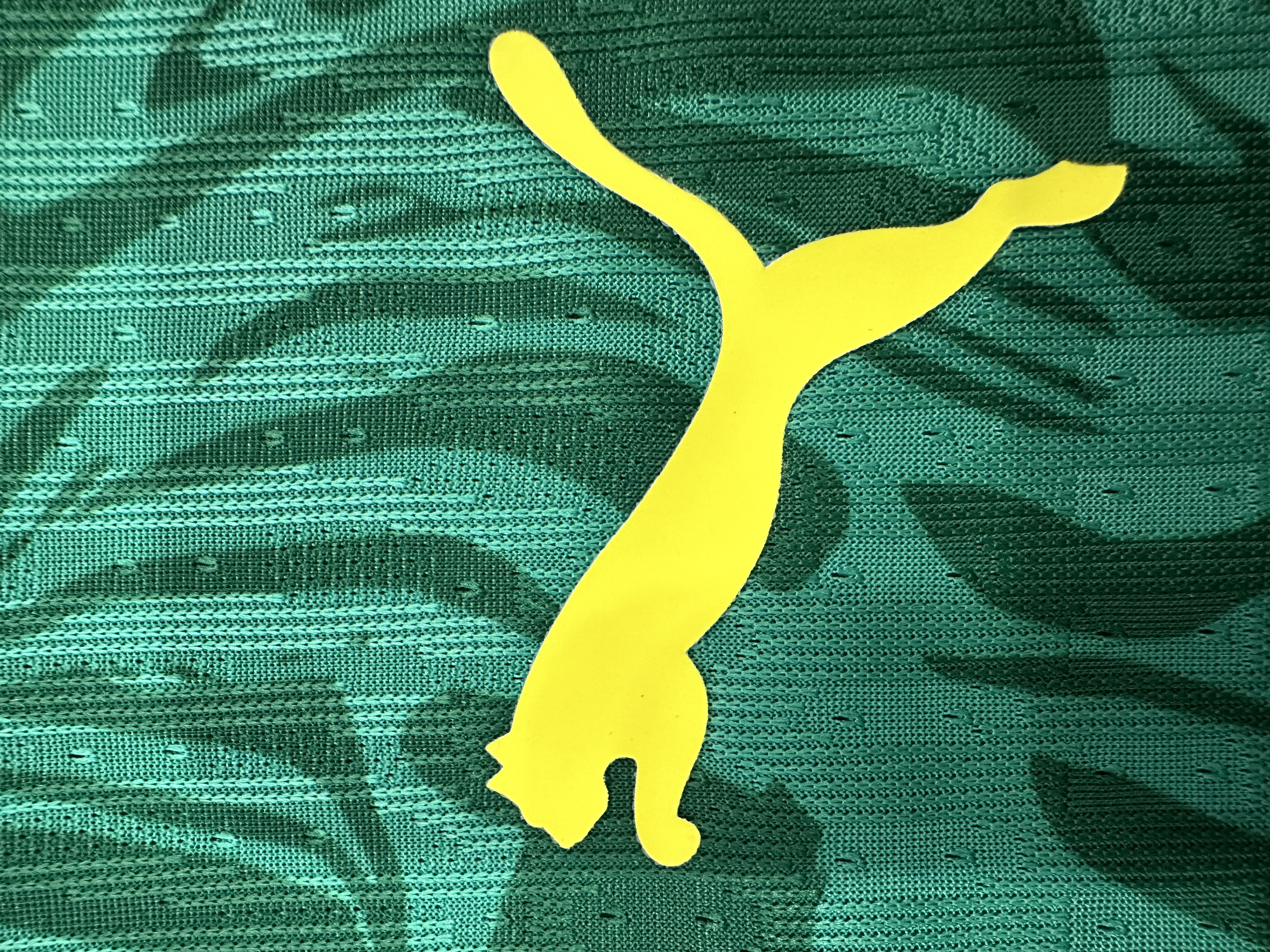 Senegal Authentic Soccer Jersey Away Shirt 2025