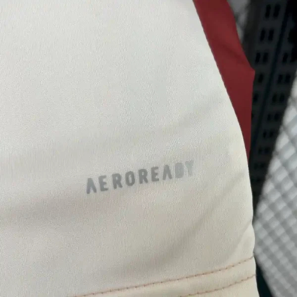 Olympique Lyonnais Football Jersey Third Away Kids Kit Jerseys+Shorts 2024/25