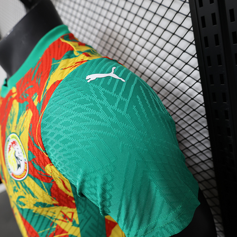 Ivory Coast Authentic Soccer Jersey Pre-Match Shirt 2024