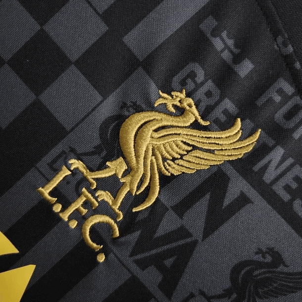 Liverpool Football Jersey x LeBron James Joint Special Edition Custom Shirt 2024/25