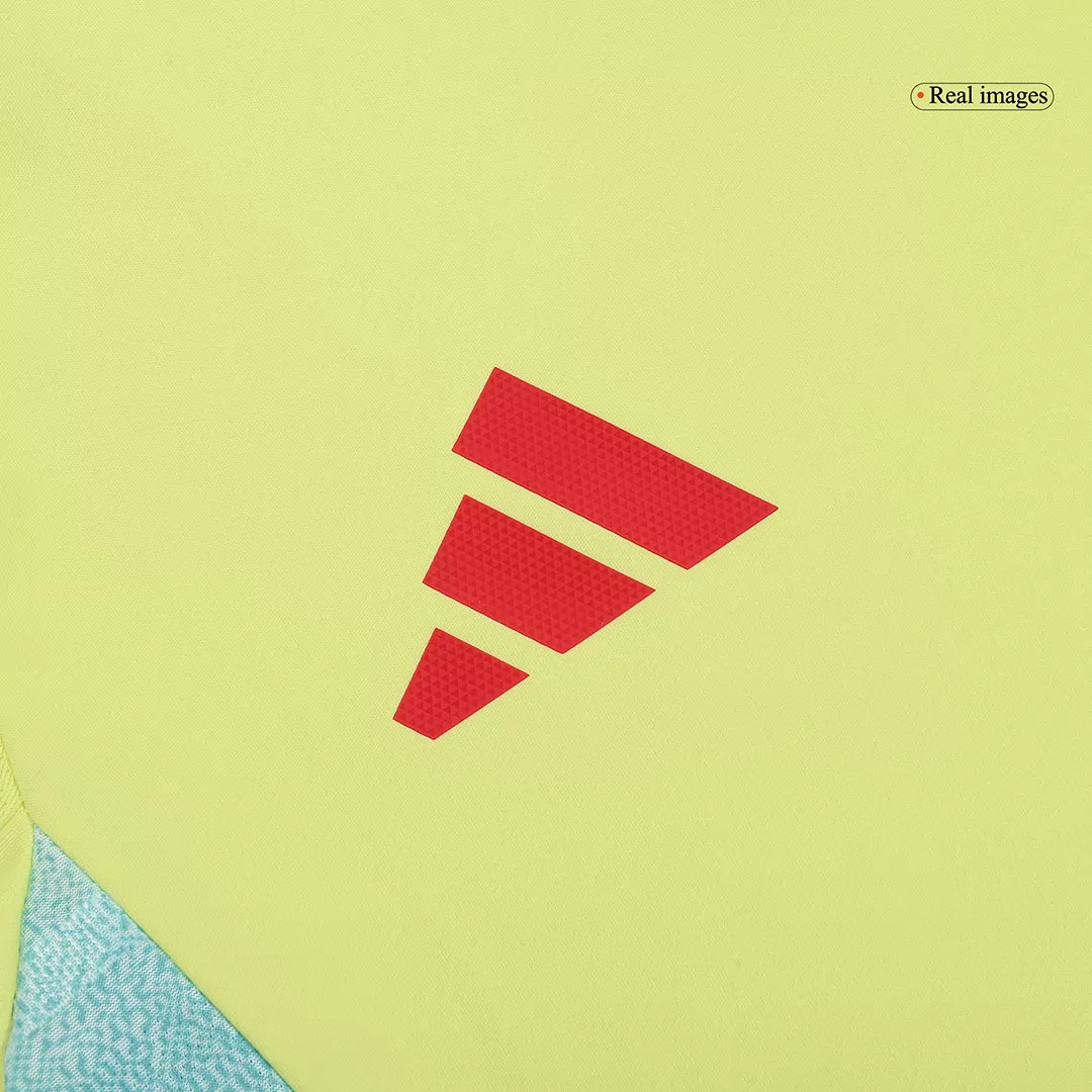 Spain Authentic Soccer Jersey Away Shirt EURO 2024