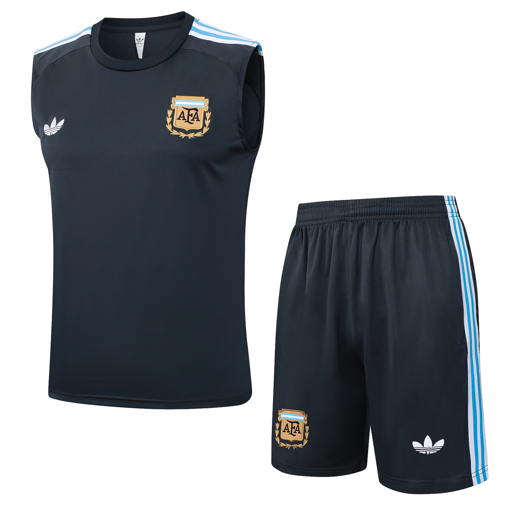 Argentina Sleeveless Training Kit Gray 2025