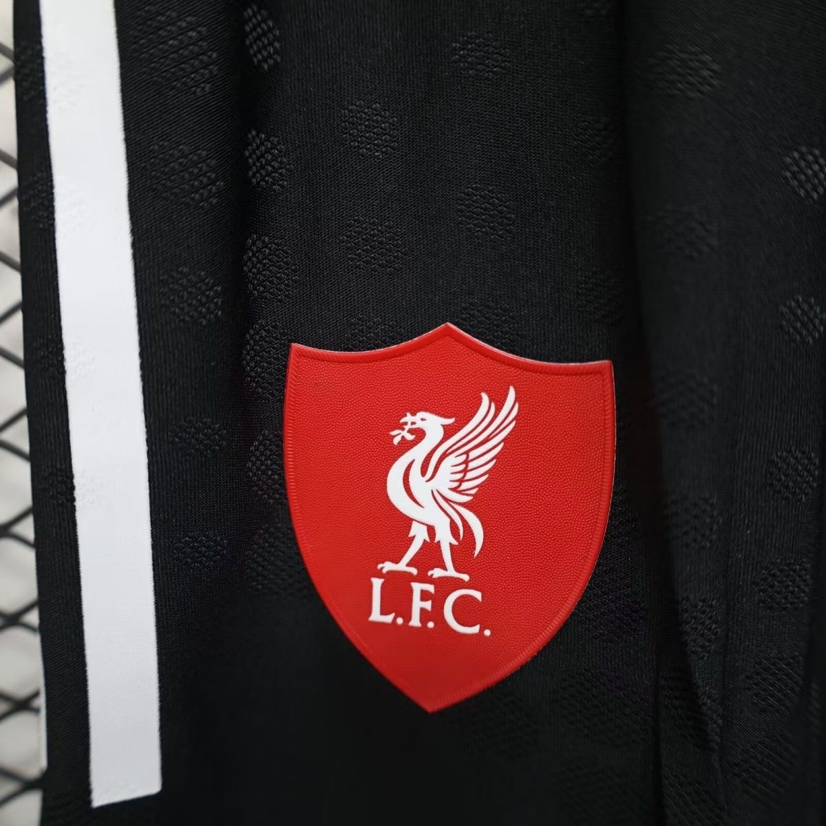 Liverpool Authentic Football Jersey Away Shorts 2025/26