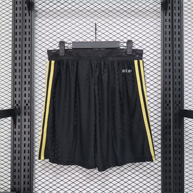 Mexico Authentic Special Soccer Shorts 2025