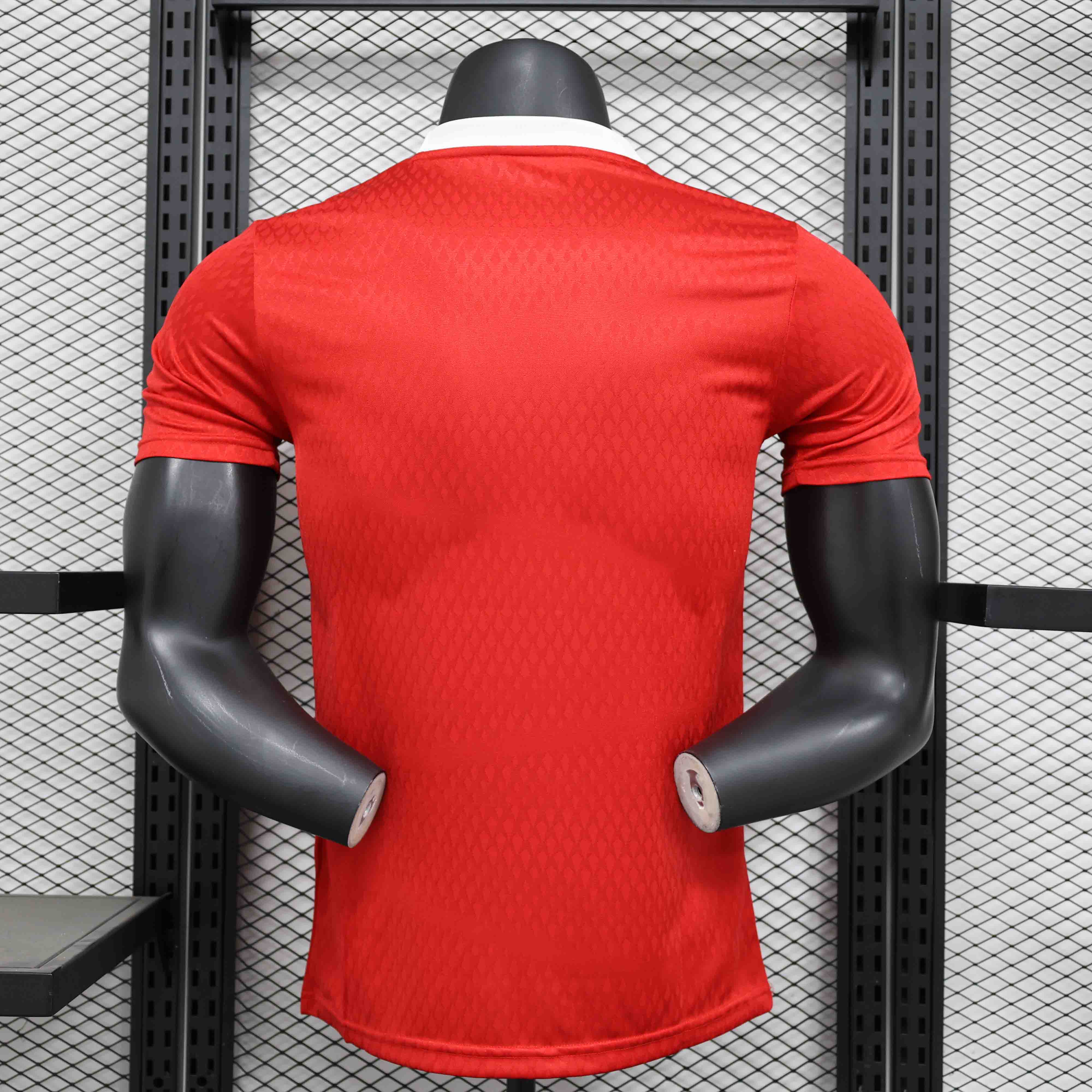 Arsenal Soccer Jersey Special Edition Authentic Shirt 2024/25