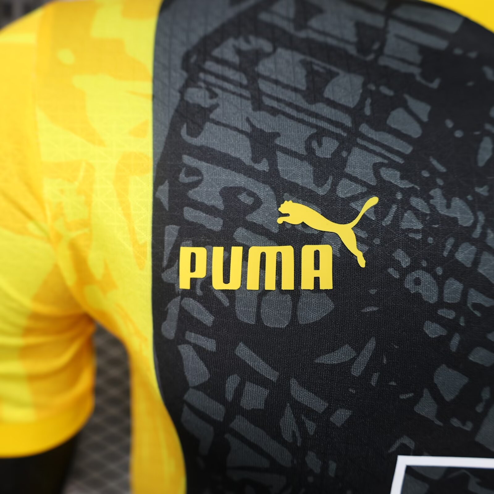 Borussia Dortmund Special Jersey Player Version 2024/25