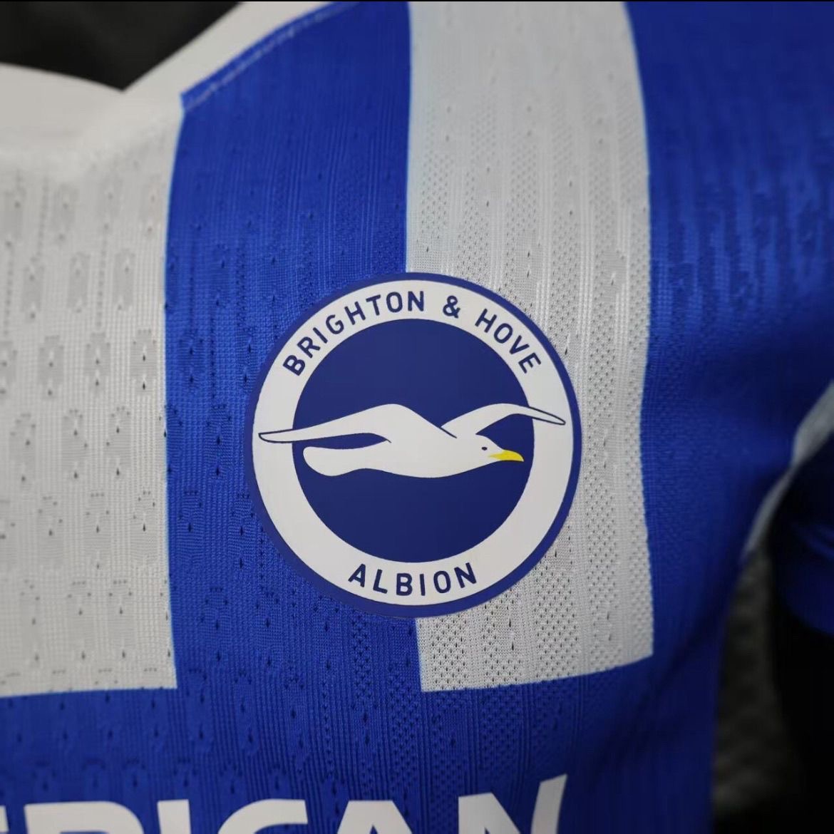 Brighton & Hove Albion Authentic Football Jersey Home Shirt 2025/26