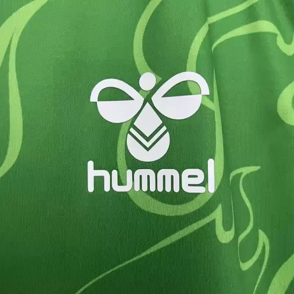 Real Betis Special Edition Custom Soccer Jersey 2025/26