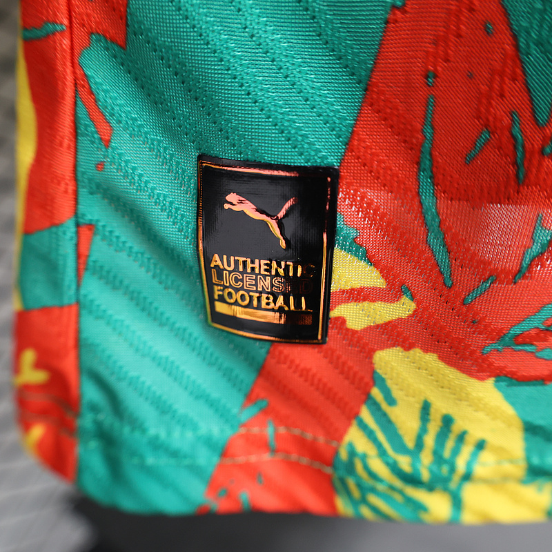 Ivory Coast Authentic Soccer Jersey Pre-Match Shirt 2024