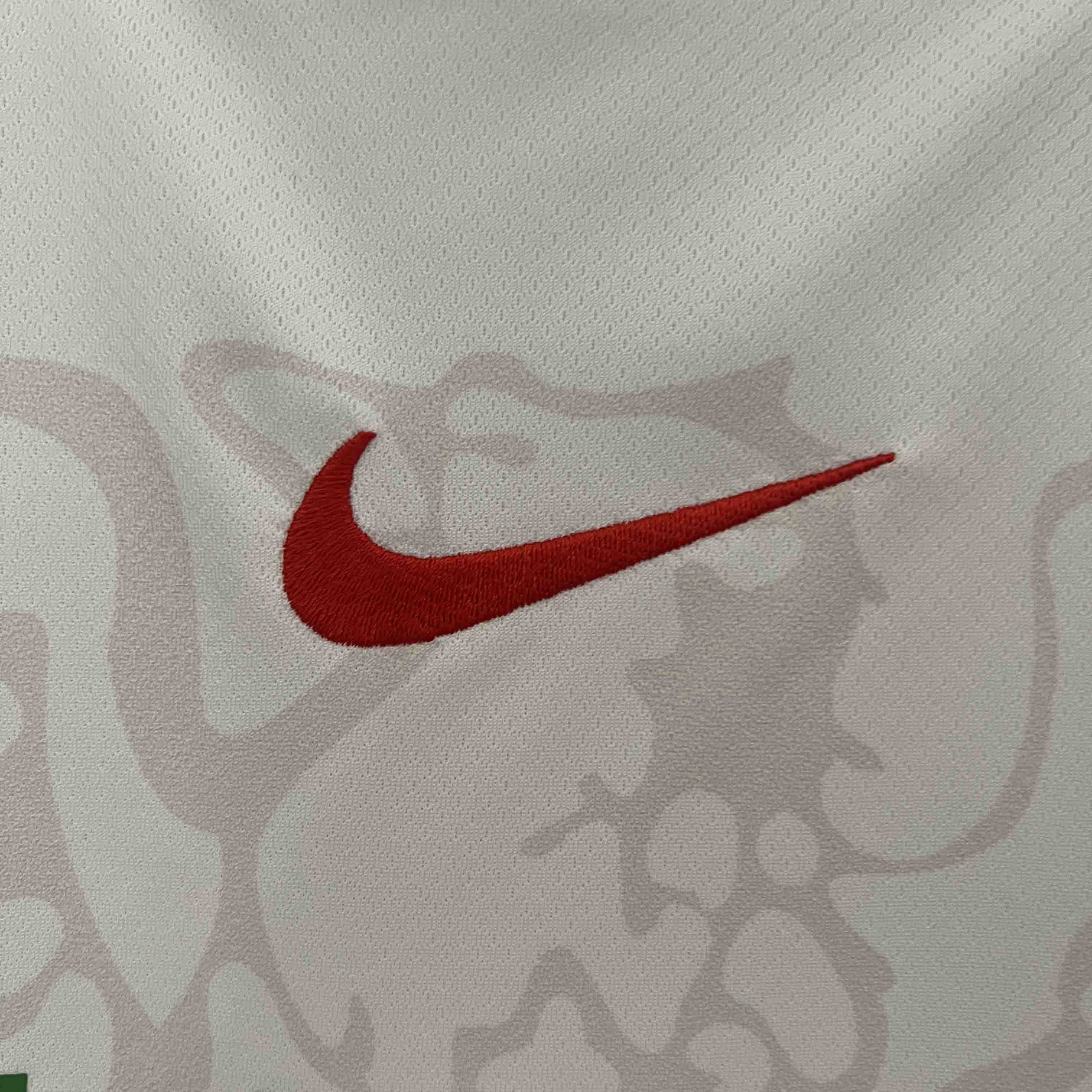 Nigeria Soccer Jersey Home Custom Shirt 2024