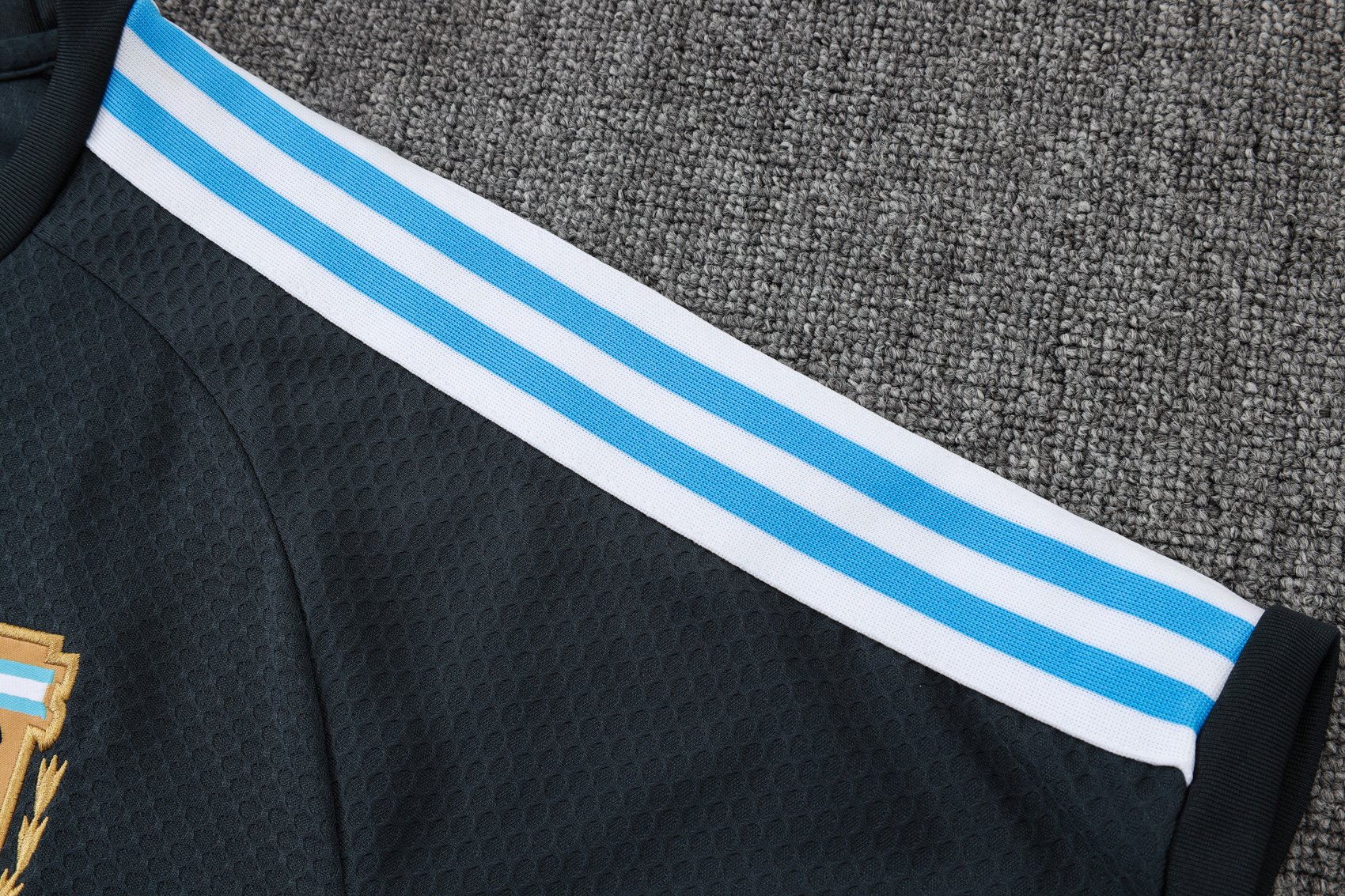 Argentina Training Jersey Kit Gray 2025