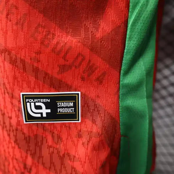 Cameroon Authentic Soccer Jersey Away Shirt 2025