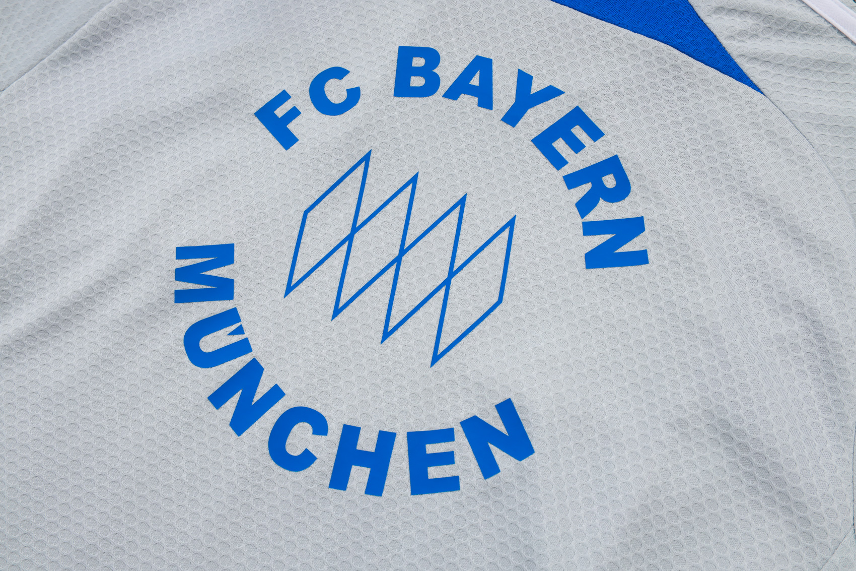 Bayern Munich Training Jersey Kit Gray 2025/26