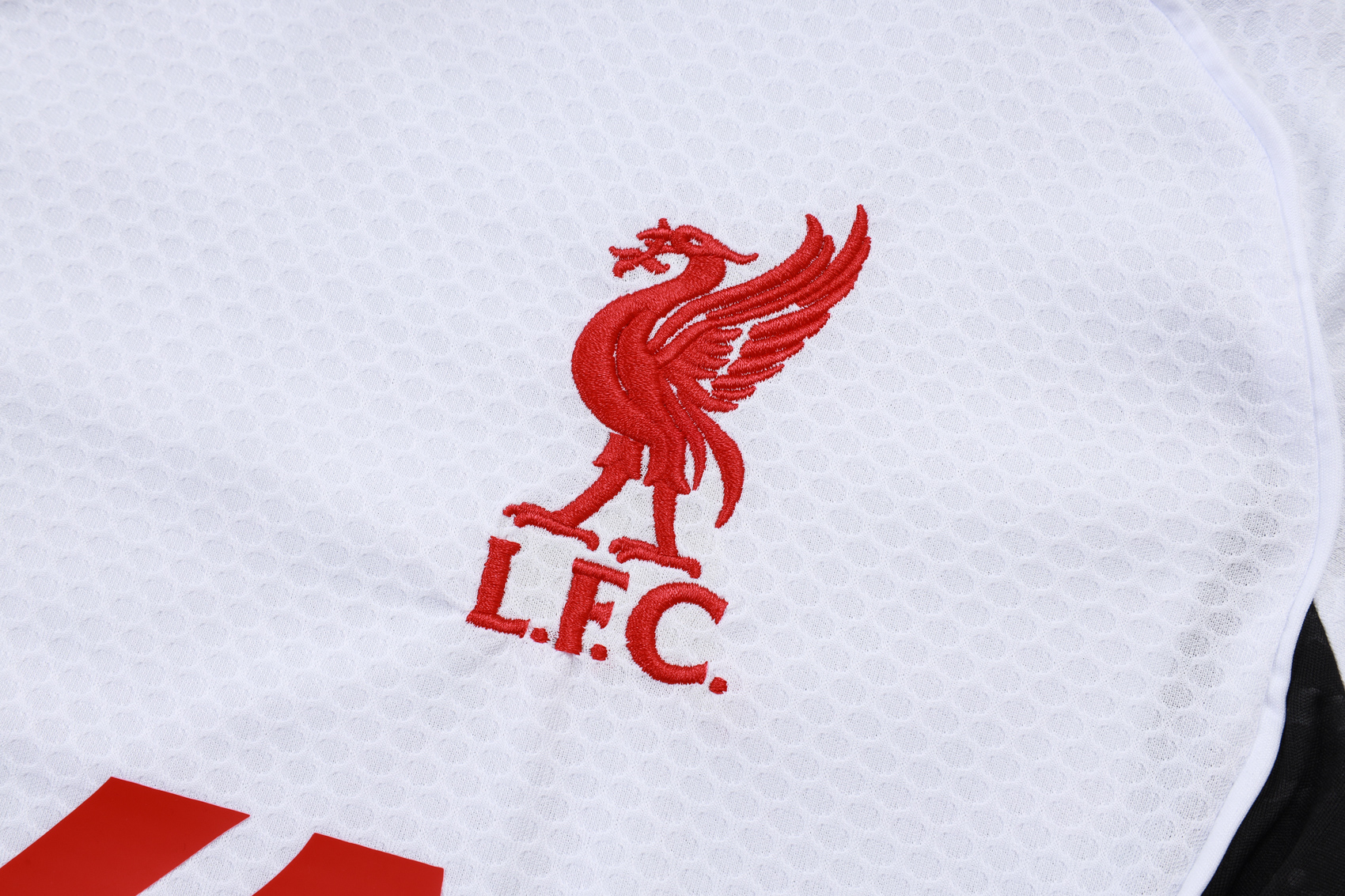 Liverpool Training Jersey Kit White 2025/26