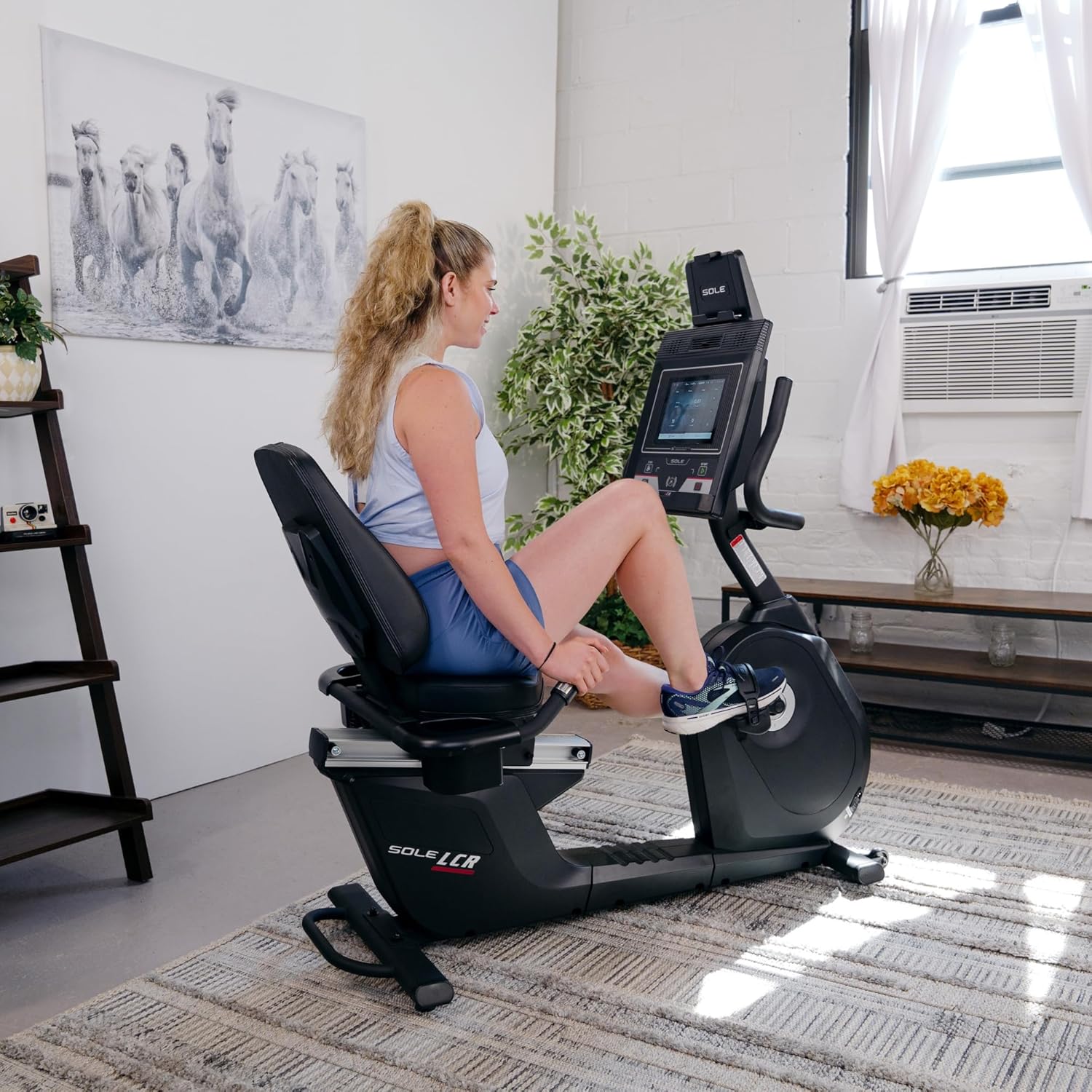 Exercise Bikes - Upright. Recumbent Bikes for Home Fitness. Indoor Gym Equipment. Seat Cushion. Touch Screen/LCD Display Options